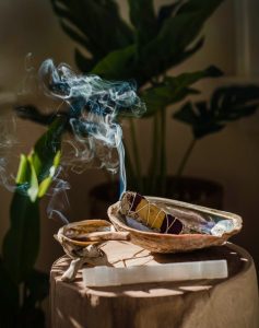 침향의 경이로움 발견하기